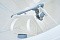 Biodevice ECO + 2